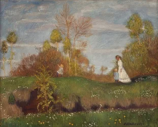 Sommer im Moor