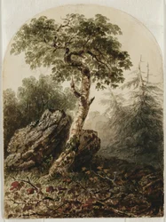 Landschaft mit Birke, 1859