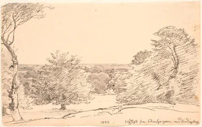 Landschaft mit Bäumen und weitem Blick von Ambjergene nach Vordingborg