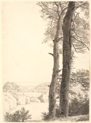 Landschaft bei Skarritsø mit zwei hohen Bäumen, Buchen, im Vordergrund