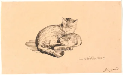 Liegende Katze mit ihrem Kätzchen