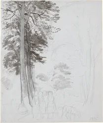 Studie zu "Buchenwald im Mai"