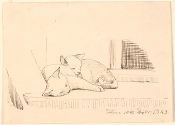 Zwei schlafende Katzen