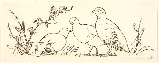 Drei Rebhühner. Dekoratives Entwurf