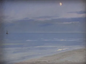 Strand von Skagen im Mondlicht