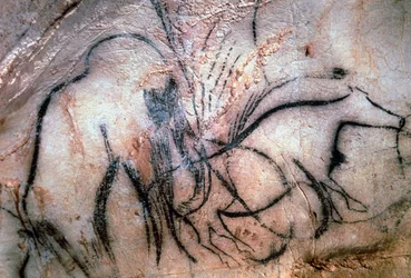 Darstellungen von Mammut und Rindern aus der Kapelle der Mammuts