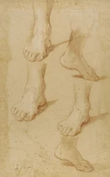 Zeichnung