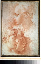 Studie von Köpfen