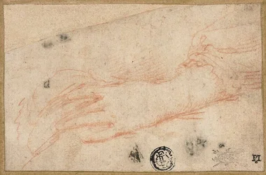 Skizze der linken Hand und des Handgelenks