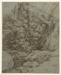 Studie einer Landschaft