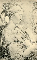 Studie der Heiligen Katharina, ca. 1530-1540, 1943
