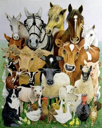Tierische Vielfalt
