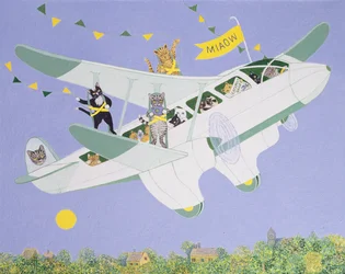 Katzenflugshow
