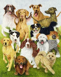 Hundstage