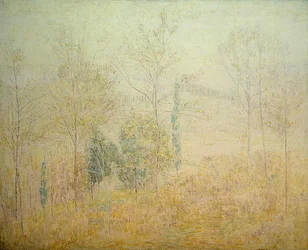Toskanische Landschaft im frühen Frühling mit grünen Pappeln