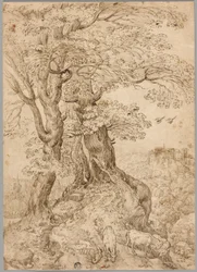 Bewaldete Landschaft mit Eseln und Ziegen und Schloss in der Ferne