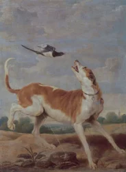 Der Hund und die Elster