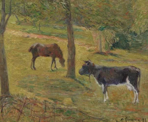 Kuh und Pferd auf einer Wiese
