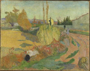 Landschaft bei Arles