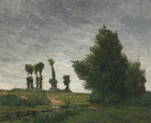 Landschaft mit Pappeln