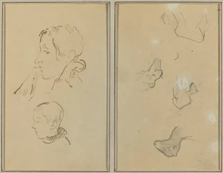 Zwei Köpfe; Studien von Schafen [recto]