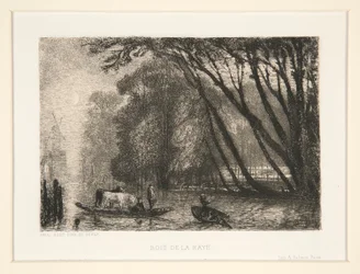 Bois de la Haye