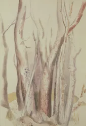 Studie einer bewaldeten Landschaft