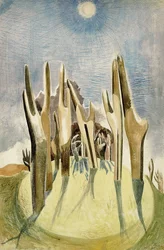 Wald auf dem Hügel