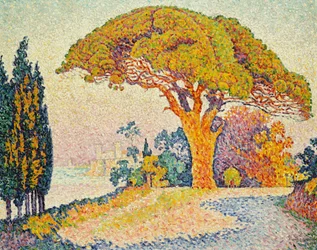 Kiefern bei Bertaud, Saint-Tropez