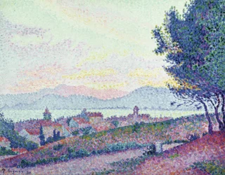 Saint Tropez – Pinienwald