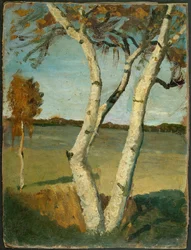 Zweistämmige Birke vor Landschaft