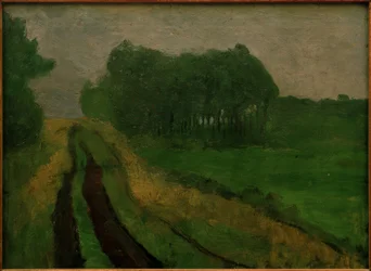 Abendliche Landschaft mit Föhren