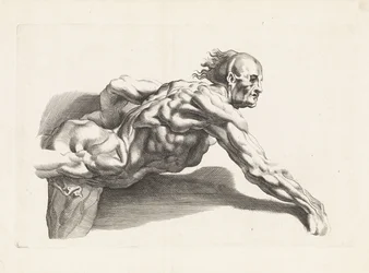 Anatomische Studie eines sich vorbeugenden Mannes