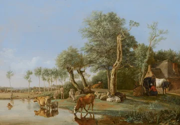 Kühe spiegeln sich im Wasser, 1648