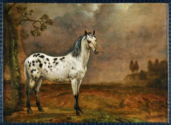 Das gescheckte Pferd
