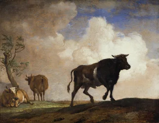 Der Stier