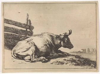 Liegende Kuh bei einem Zaun (Das Bullenbuch)