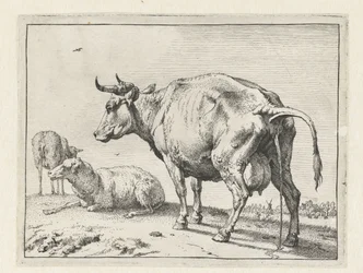 Pissende Kuh