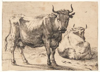 Stehende und liegende Kuh