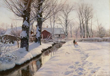 Bewaldete Winterlandschaft
