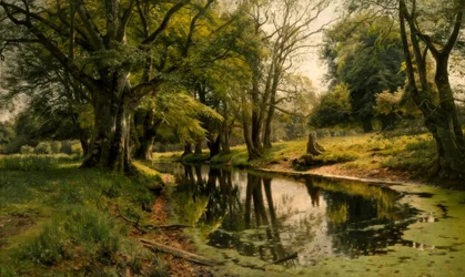 Stilles Wasser im Wald