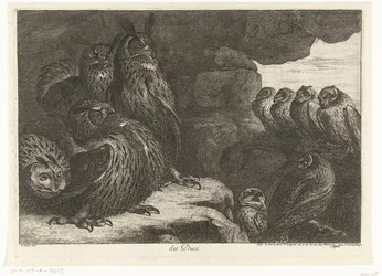 Eulen in einer Höhle (Vögel aus der Menagerie von Versailles)