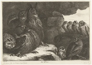 Eulen in einer Höhle