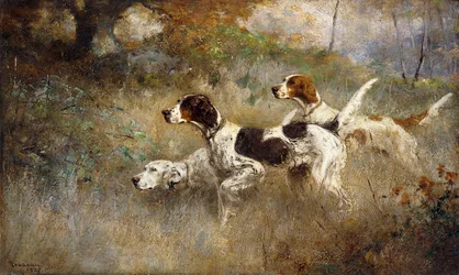 Die drei Setter, Bob, Bill und Ginger an einem Dreifachpunkt