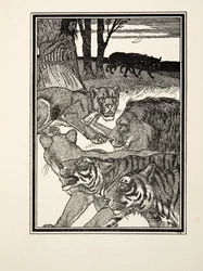 Eine dankbare Löwin, aus Hundert Anekdoten von Tieren, veröffentlicht 1924