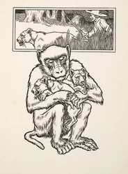 Hilfe erbitten, aus Hundert Anekdoten von Tieren, veröffentlicht 1924
