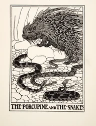 Der Stachelschwein und die Schlangen, aus Hundert Fabeln von Äsop, veröffentlicht 1903 (Gravur)