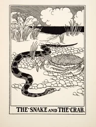 Die Schlange und die Krabbe, aus Hundert Fabeln von Aesop, veröffentlicht 1903