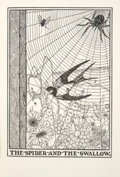 Die Spinne und die Schwalbe, aus Fontaine Fabeln, veröffentlicht 1905