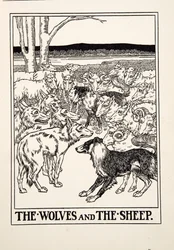 Die Wölfe und die Schafe, aus Hundert Fabeln von Äsop, veröffentlicht 1903 (Gravur)